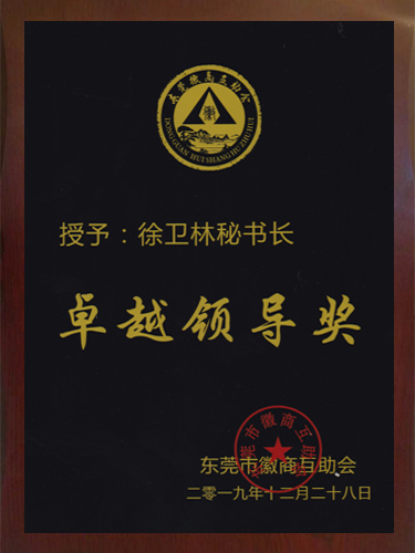 卓越领导奖